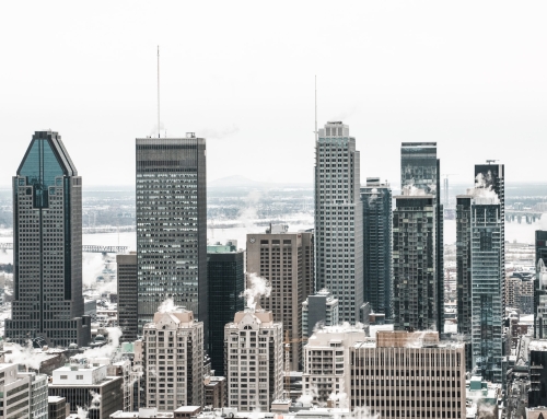 Nulla aliquam pellentesque mi